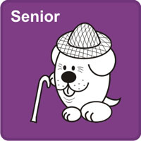 Senior | Starší pes